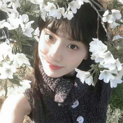 绝望写手第四季